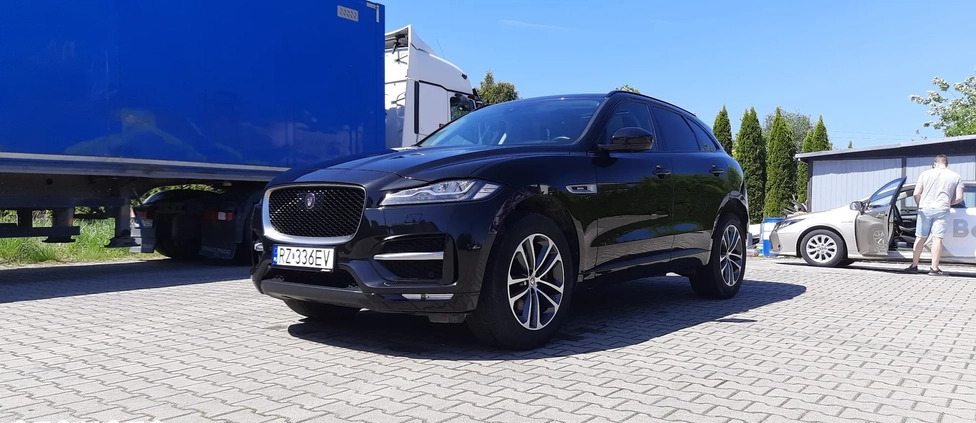 Jaguar F-Pace cena 136999 przebieg: 105000, rok produkcji 2019 z Rzeszów małe 191